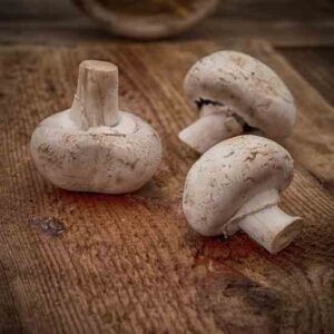 You Can Grow Your Own Mushrooms